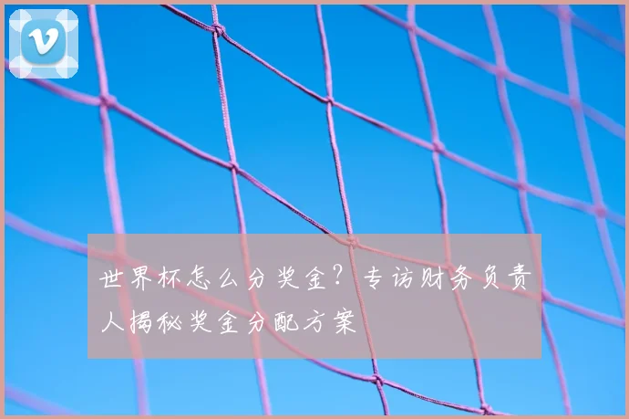 世界杯怎么分奖金？专访财务负责人揭秘奖金分配方案