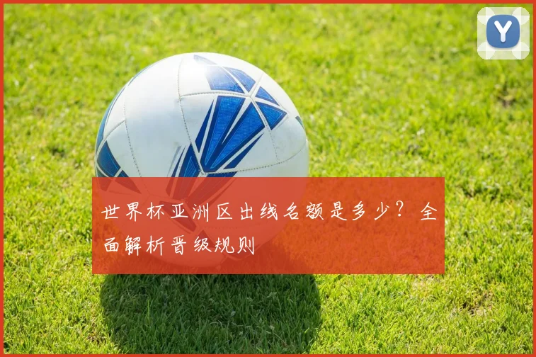 世界杯亚洲区出线名额是多少？全面解析晋级规则