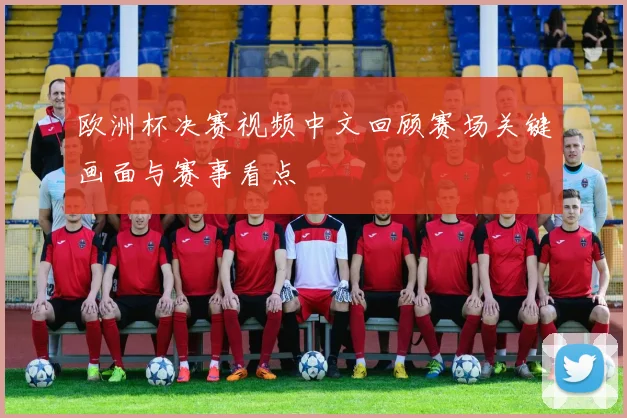 欧洲杯决赛视频中文回顾赛场关键画面与赛事看点