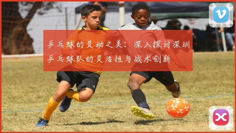 乒乓球的灵动之美：深入探讨深圳乒乓球队的灵活性与战术创新
