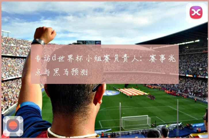 专访d世界杯小组赛负责人：赛事亮点与黑马预测