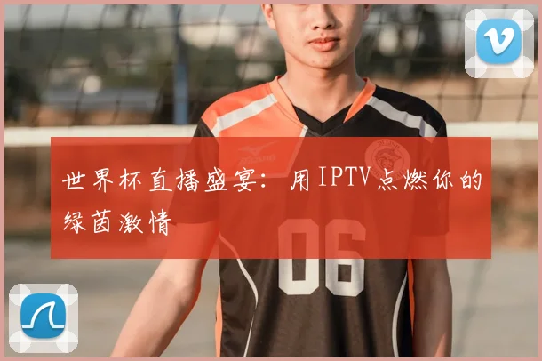 世界杯直播盛宴：用IPTV点燃你的绿茵激情