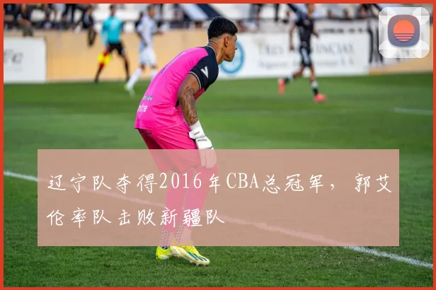 辽宁队夺得2016年CBA总冠军，郭艾伦率队击败新疆队