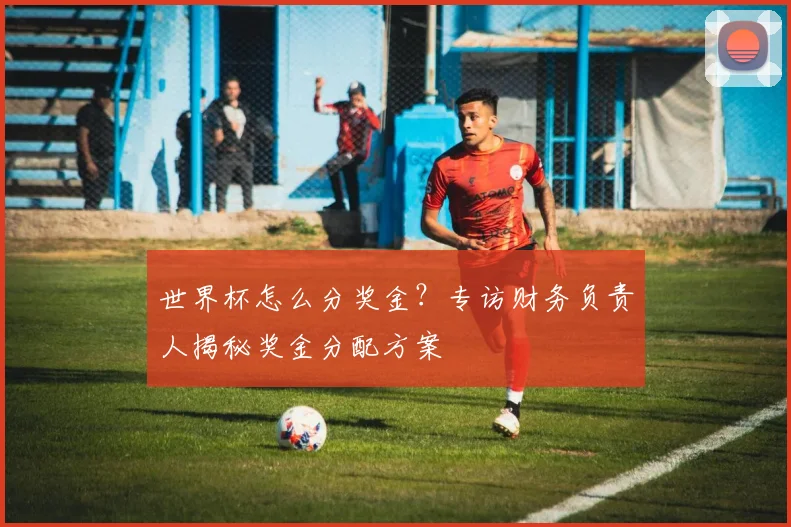 世界杯怎么分奖金？专访财务负责人揭秘奖金分配方案