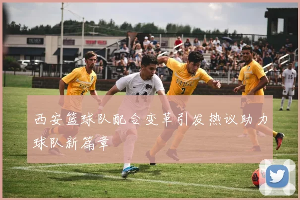 西安篮球队配合变革引发热议助力球队新篇章