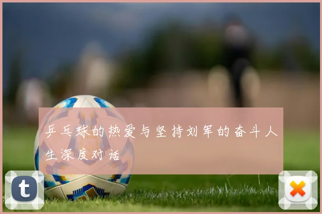 乒乓球的热爱与坚持刘军的奋斗人生深度对话